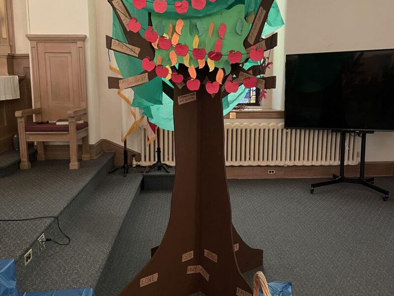 Our blossoming Stewardship Tree