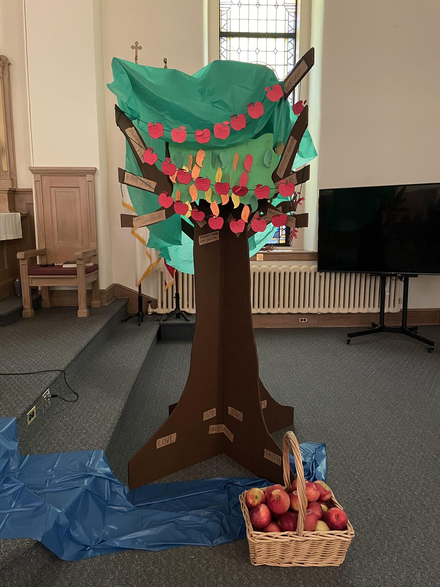Our blossoming Stewardship Tree