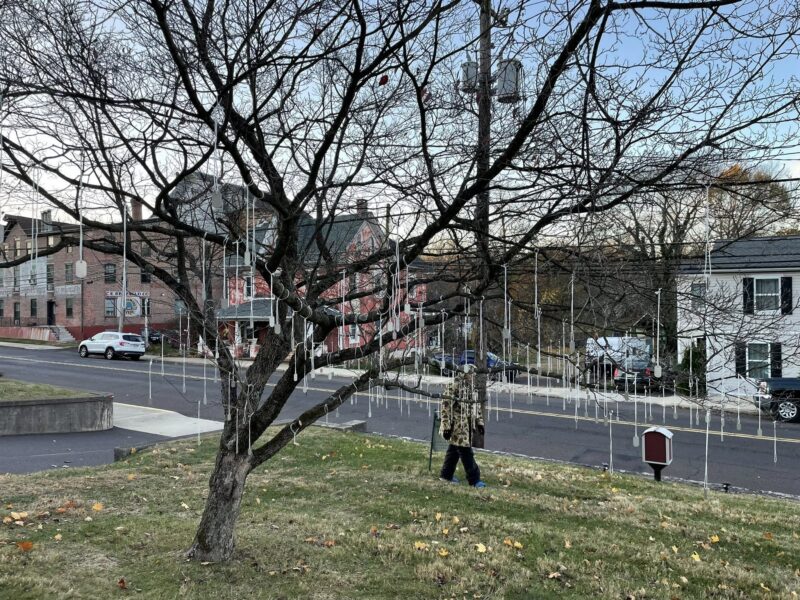 The Witting Tree