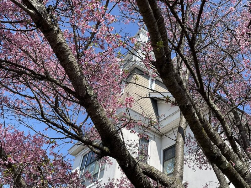 Spring at St. Andrew’s